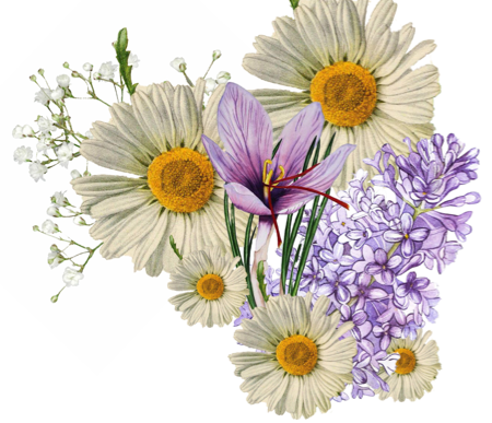 A wedding bouquet of Crocus, Daisy, Lilac, and Baby's breath