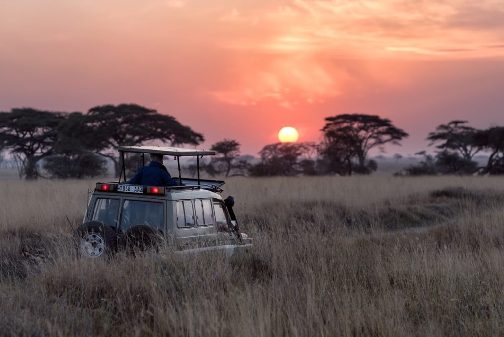 A game drive on safari as part of the guest experience