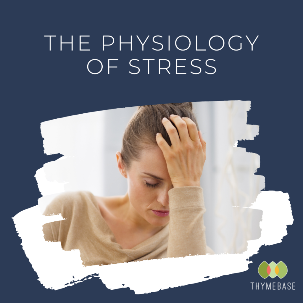 The Physiology of Stress During Event Planning