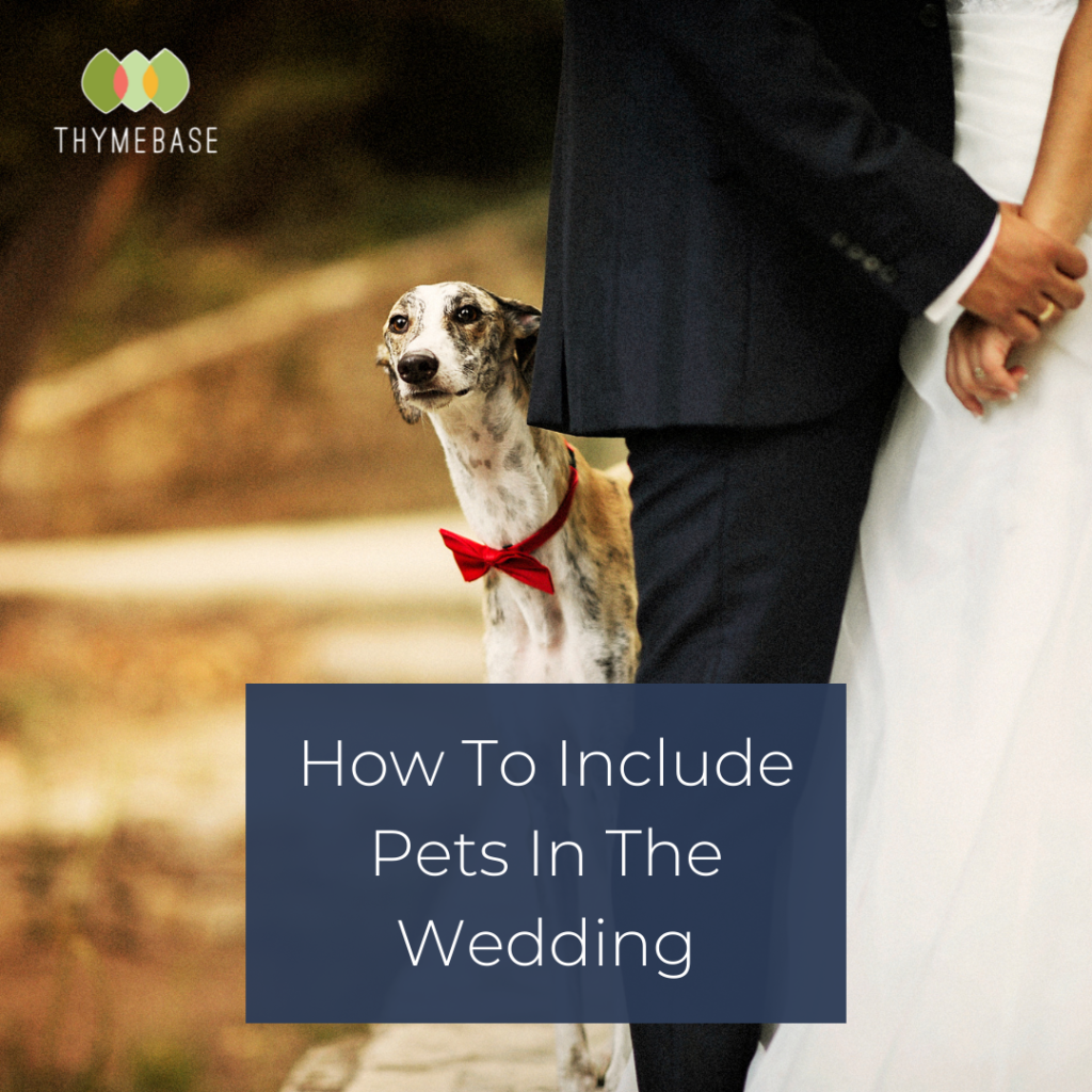 How To Include Pets In The Wedding